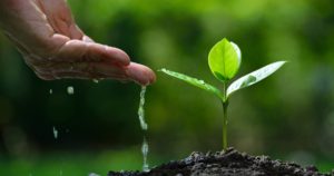 Von Philip SteflKategorien: GefStoff-ProfiSchlagwörter: Sicherheitsdatenblatt, Abschnitt 12, Bioakkumulationspotenzial