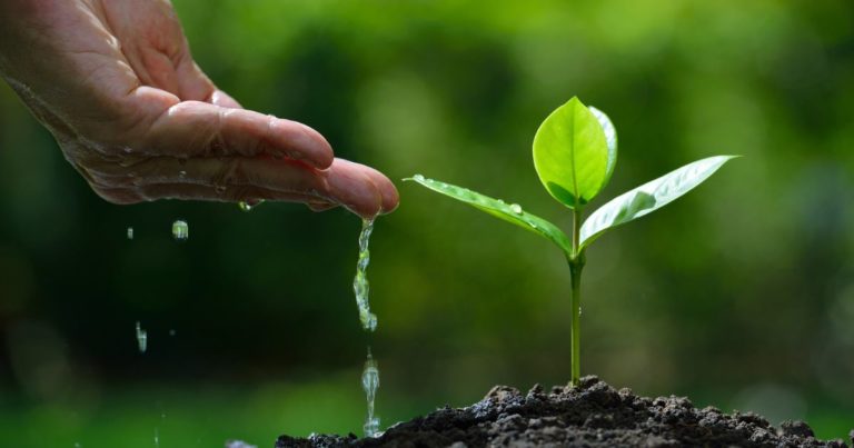 Von Philip SteflKategorien: GefStoff-ProfiSchlagwörter: Sicherheitsdatenblatt, Abschnitt 12, Bioakkumulationspotenzial