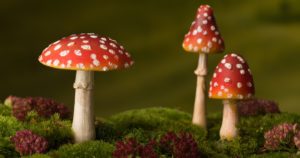 Toxizitätsdaten für das Sicherheitsdatenblatt